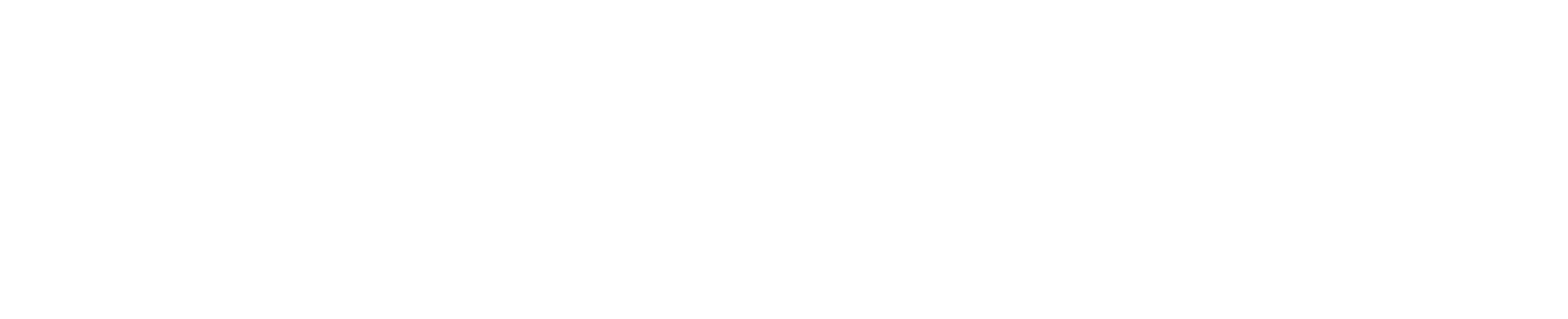 Wild Padel